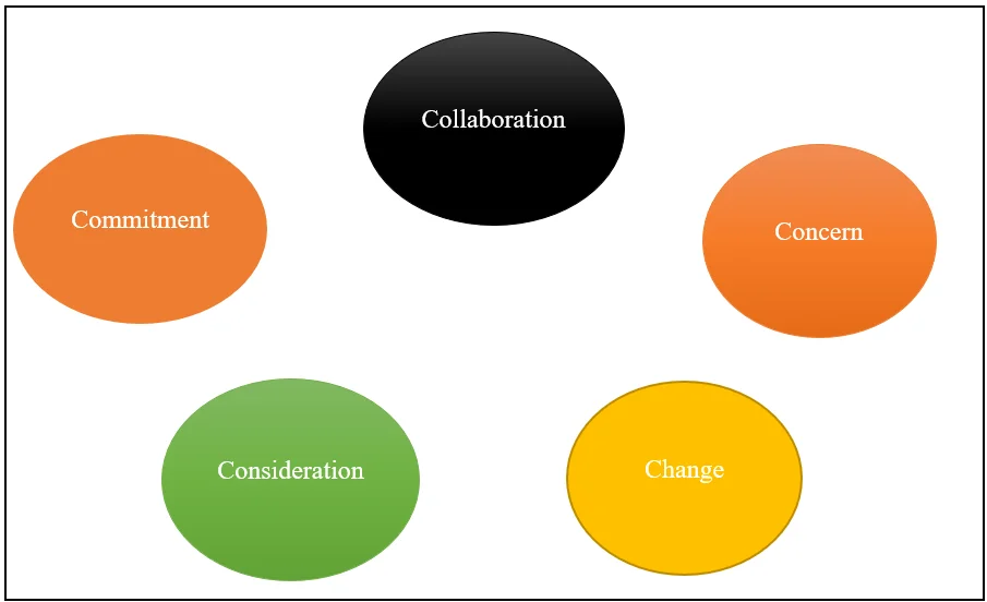 Role of The 5 C in Action Research 