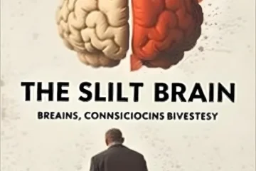 The Split Brain: Rethinking Free Will and Consciousness